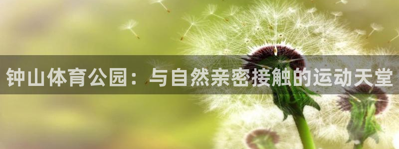 意昂f凯捷4开户