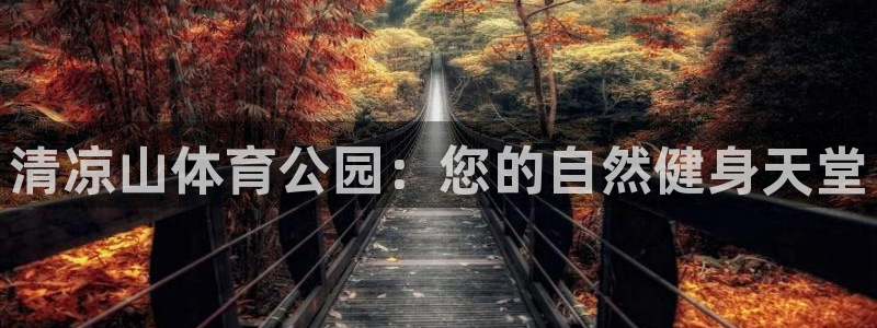 意昂f凯捷平台主管