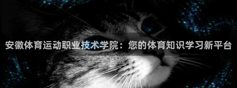 意昂f凯捷招商