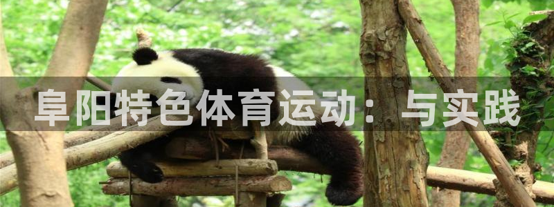 意昂f凯捷体育app下载