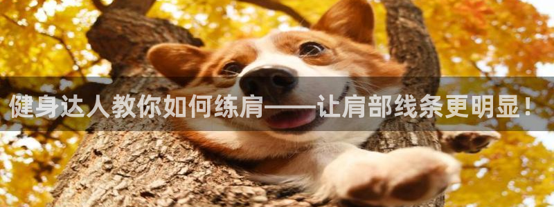 意昂f凯捷招商