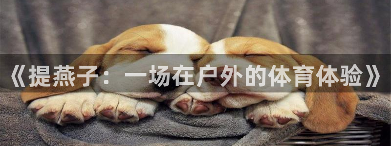 意昂f凯捷