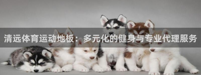 意昂f凯捷集团
