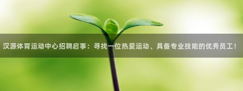 意昂f凯捷集团