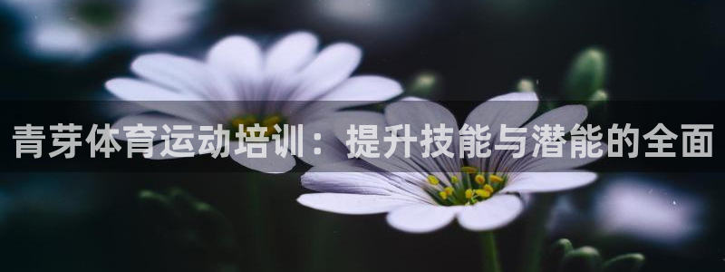 意昂f凯捷平台在线注册