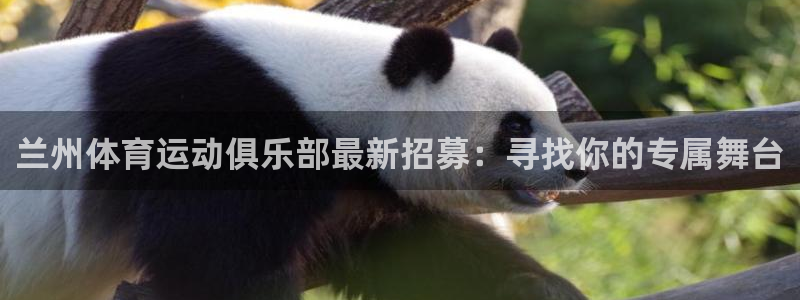 意昂f凯捷体育注册登录入口